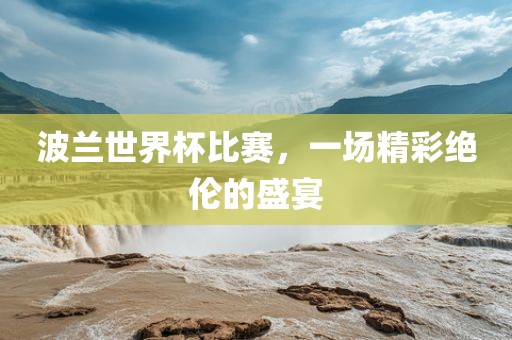波兰世界杯比赛，一场精彩绝伦的盛宴