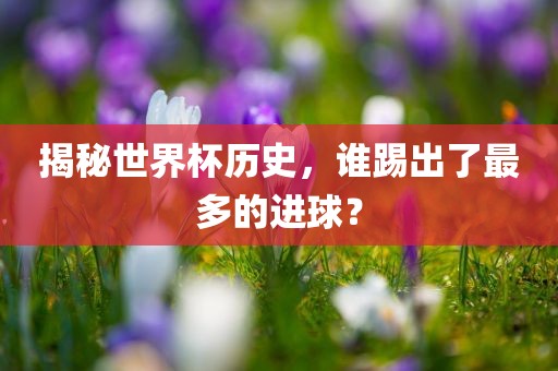 揭秘世界杯历史，谁踢出了最眉山市正发家政服务有限公司多的进球？