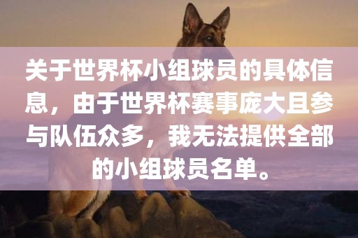 linjunyuan 第4页