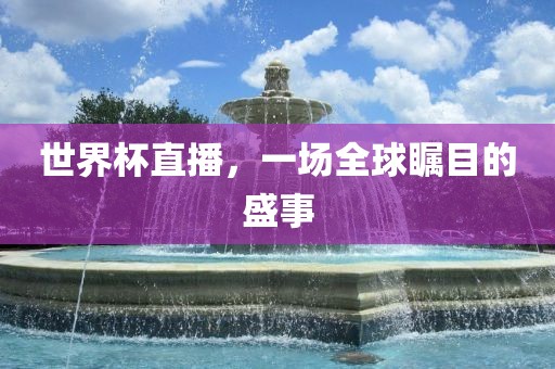 世界杯直播，一场全球瞩目的盛事眉山市正发家政服务有限公司