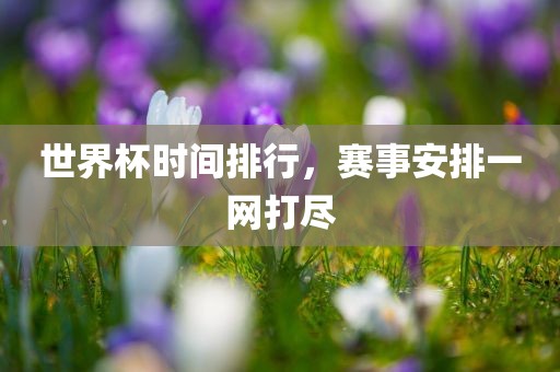 世界杯时间排行，赛事安排一网打尽眉山市正发家政服务有限公司