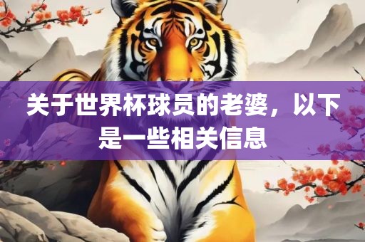 关于世界杯球员的老婆，以下是一些相关信息眉山市正发家政服务有限公司