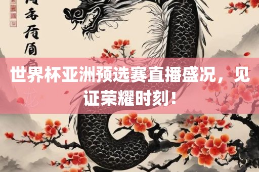 世界杯亚洲预选赛直播盛况，见证荣耀时刻！