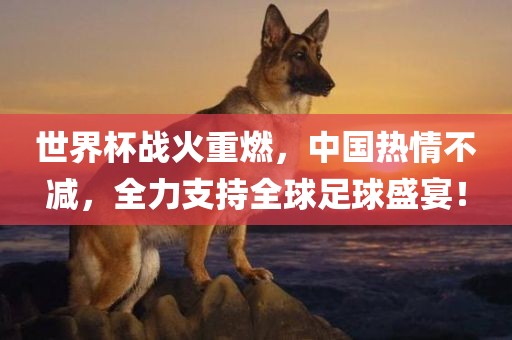 世界杯战火重燃，中国热情不减，全力支持全球足球盛宴！眉山市正发家政服务有限公司