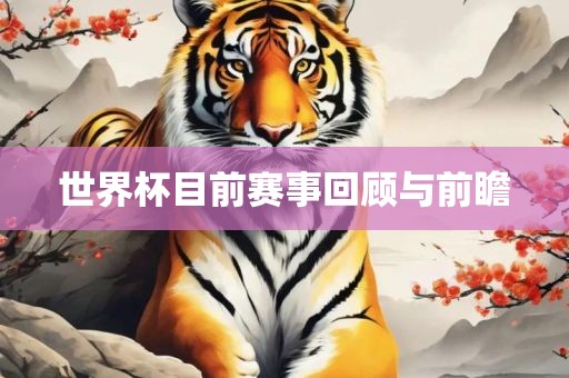 世界杯目前赛事回顾与前瞻眉山市正发家政服务有限公司