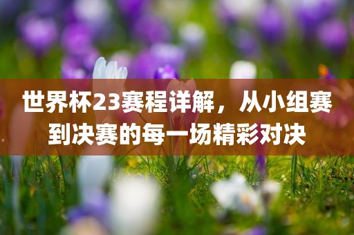 世界杯23赛程眉山市正发家政服务有限公司详解，从小组赛到决赛的每一场精彩对决