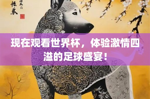 现在观看世界杯，体验激情四溢的足球盛宴！眉山市正发家政服务有限公司