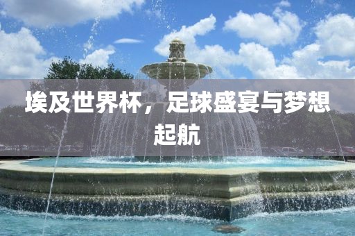 埃及世界杯，足球盛宴与梦想起航眉山市正发家政服务有限公司