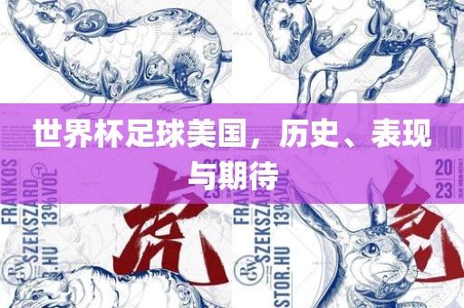 世界杯足球美国，历史、表现与期待