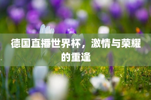 德国直播世界杯，激情与荣耀的重逢眉山市正发家政服务有限公司