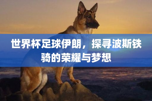 世界杯足球伊朗，探寻波斯铁骑眉山市正发家政服务有限公司的荣耀与梦想