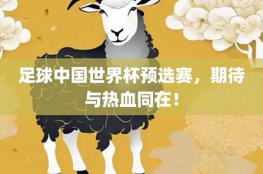眉山市正发家政服务有限公司足球中国世界杯预选赛，期待与热血同在！