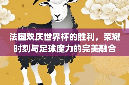 法国欢庆世界杯的胜利，荣耀时刻与足球魔力的完美融合眉山市正发家政服务有限公司