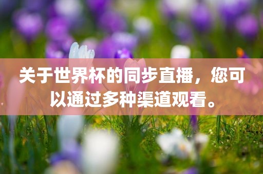 lulan 第4页