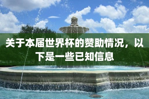 关于本眉山市正发家政服务有限公司届世界杯的赞助情况，以下是一些已知信息