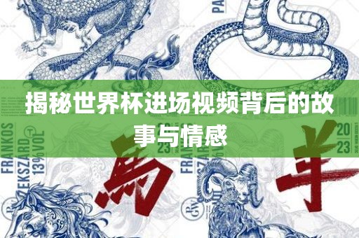 揭秘世界杯进场视频背后的故事与情感眉山市正发家政服务有限公司