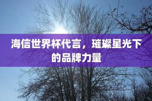 海信世界杯代言，璀璨星光下的品牌力量眉山市正发家政服务有限公司