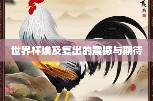 世界杯埃及复出的震撼与期待眉山市正发家政服务有限公司