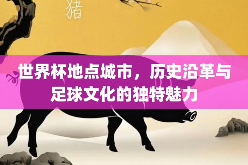 世界杯地点城市，历史沿革与足球文化的眉山市正发家政服务有限公司独特魅力