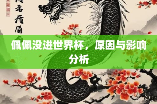 佩佩没进世界杯，原因与影响分析眉山市正发家政服务有限公司