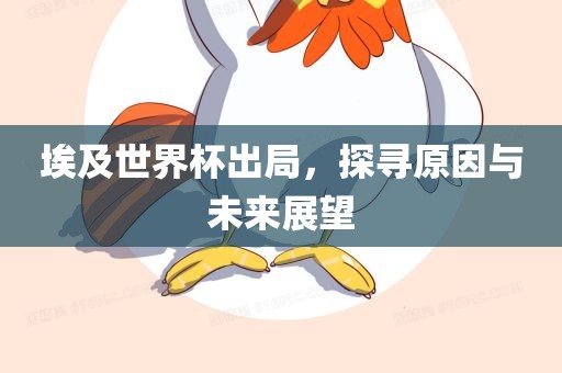 埃及世界杯出局，探寻原因与未来展望眉山市正发家政服务有限公司