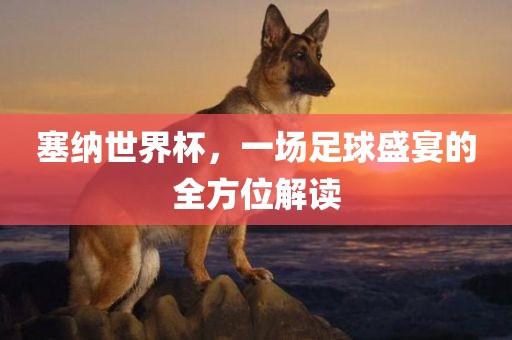 塞纳世界杯，眉山市正发家政服务有限公司一场足球盛宴的全方位解读