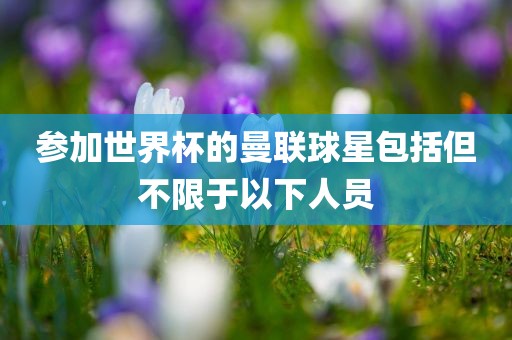 参加世界杯的曼联球星包括但不限于以下人员眉山市正发家政服务有限公司