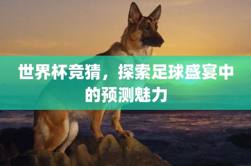 世界杯竞猜，探索足球盛宴中的预测魅力