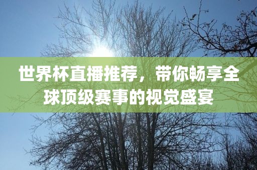 世界杯直播推荐，带你畅享全球顶级赛事的视觉盛宴眉山市正发家政服务有限公司