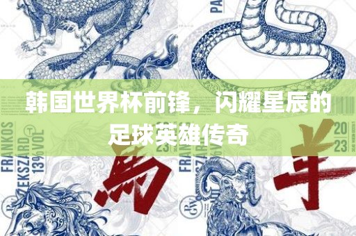 韩国世界杯前锋，闪耀星辰的足球英雄眉山市正发家政服务有限公司传奇
