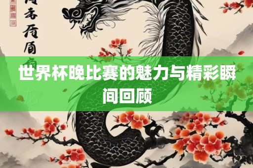 世界杯晚比赛的魅力与精彩瞬间回顾