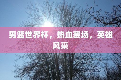 男篮世界杯，热血赛场，英雄风眉山市正发家政服务有限公司采