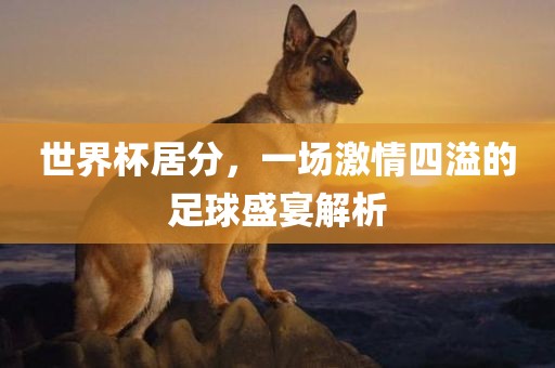 世界杯居分，一眉山市正发家政服务有限公司场激情四溢的足球盛宴解析