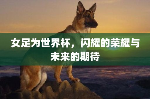 女足为世界杯，闪耀的荣耀与未来的期待