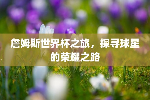 詹姆斯世界杯之旅，探寻球星的荣耀之路眉山市正发家政服务有限公司