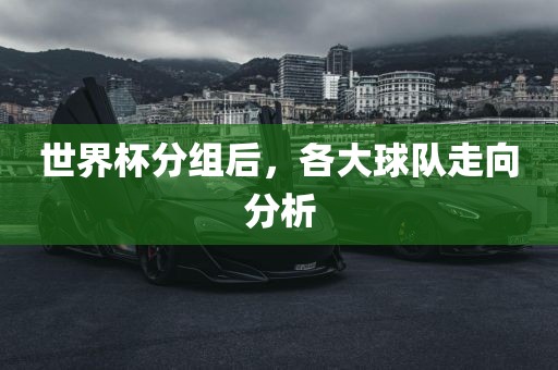 世界杯分组后，各大球队走向分析