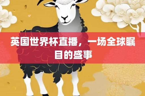 英国世界杯眉山市正发家政服务有限公司直播，一场全球瞩目的盛事