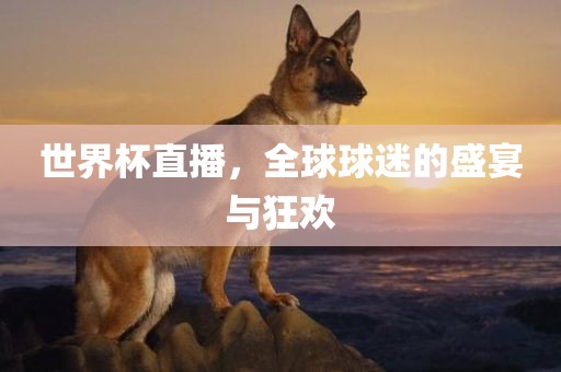 wulanmu 第11页