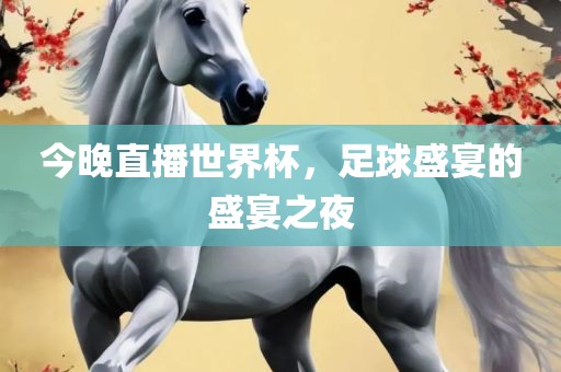 今晚直播世界杯，眉山市正发家政服务有限公司足球盛宴的盛宴之夜