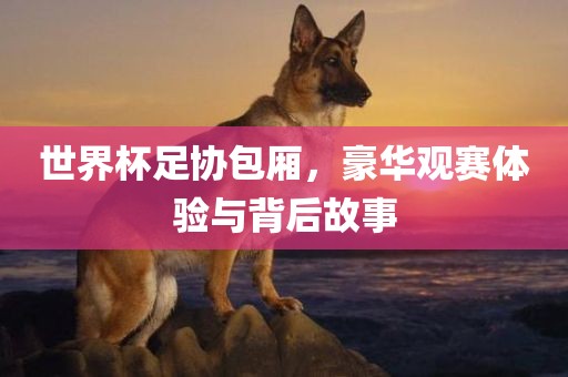 世界杯足协包厢，豪华观赛体验与背后故事眉山市正发家政服务有限公司