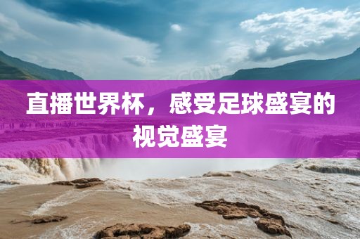 直播世界杯，感受足球盛宴的视觉盛宴眉山市正发家政服务有限公司
