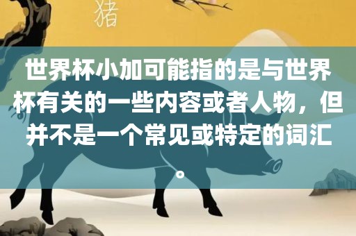 世界杯小加可能指的是与世界杯有关的一些内容或者人物，但并不是一个常见或特定的词汇。眉山市正发家政服务有限公司