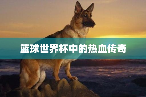 houyingru 第3页