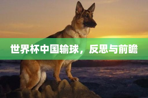 世界杯中国输球，反思与前瞻