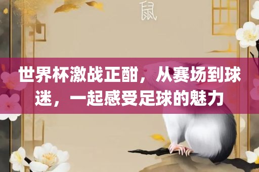 世界杯激战正酣，从赛场到球迷，一起感受足球的魅力眉山市正发家政服务有限公司