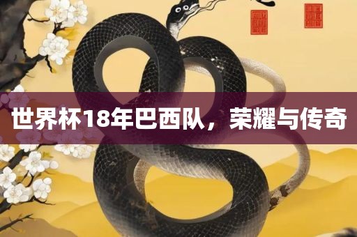 世界杯18年巴西队，荣耀与传奇