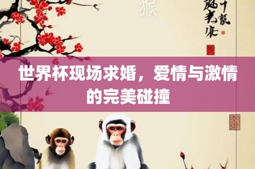 世界杯现场求婚，爱情与激情的完美碰撞眉山市正发家政服务有限公司