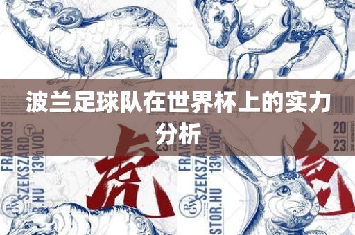 波兰足球队在世界杯上的实力分析