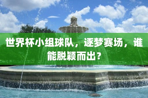 世界杯小组球队，逐梦赛场，谁能脱颖而出？