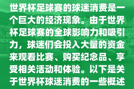 世界杯足球赛的球迷消费是一个巨大的经济现象。由于世界杯足球赛的全球影响力和吸引力，球迷们会投入大量的资金来观看比赛、购买纪念品、享受相关活动和体验。以下是关于世界杯球迷消费的一些概述眉山市正发家政服务有限公司